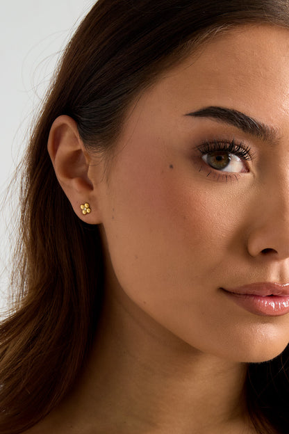 Klaver Studs